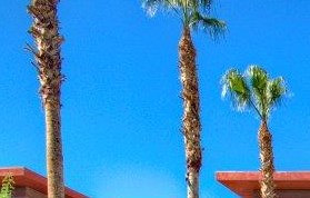 Vue Park West Apartments In Peoria Az